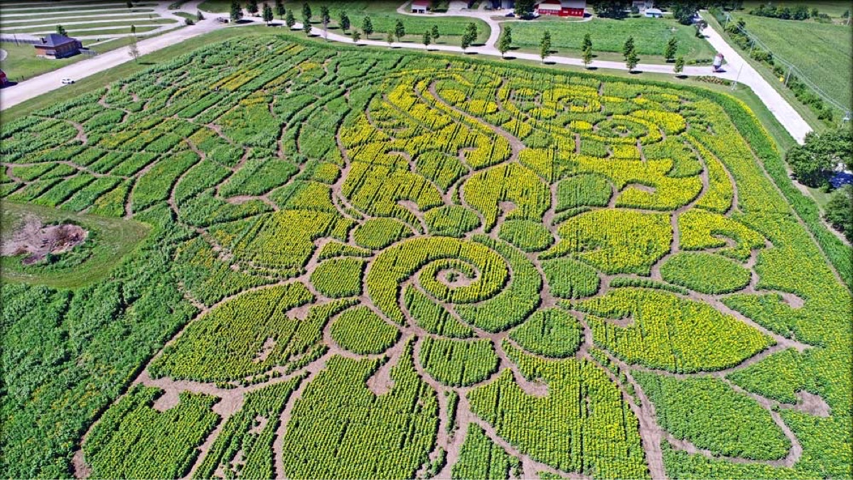 Richardson Adventure Farm β Tulip Festival