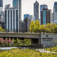 Lincoln Park