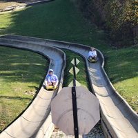 Alpine Slides