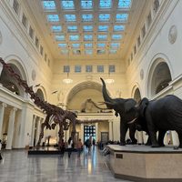 Field Museum